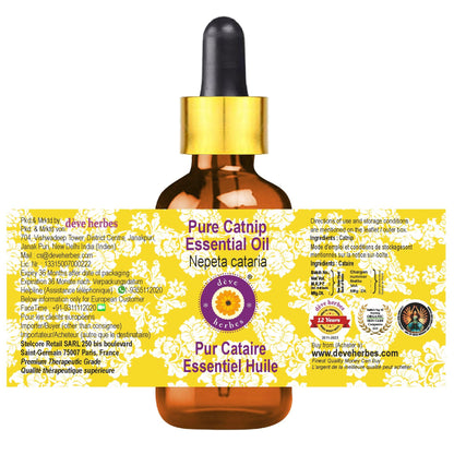 dève herbes Catnip Essential Oil (Nepeta cataria) 5ml with Glass Dropper – Pure & Steam Distilled