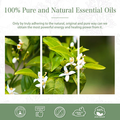 Neroli Essential Oil 30ml | PHATOIL Pure Aromatherapy for Diffusers, DIY Candles & Soaps