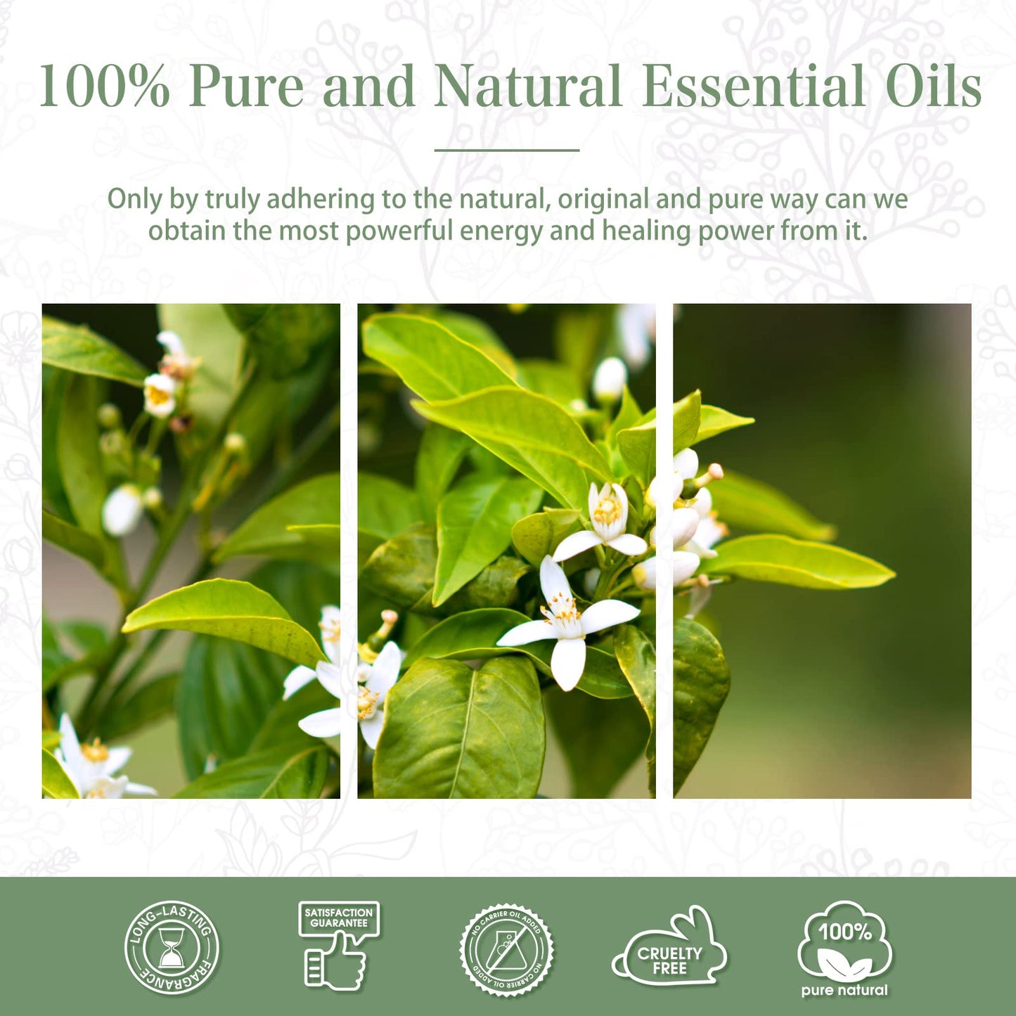 Neroli Essential Oil 100ml (3.38fl.oz) | PHATOIL Pure Aromatherapy for Diffusers & DIY Crafts