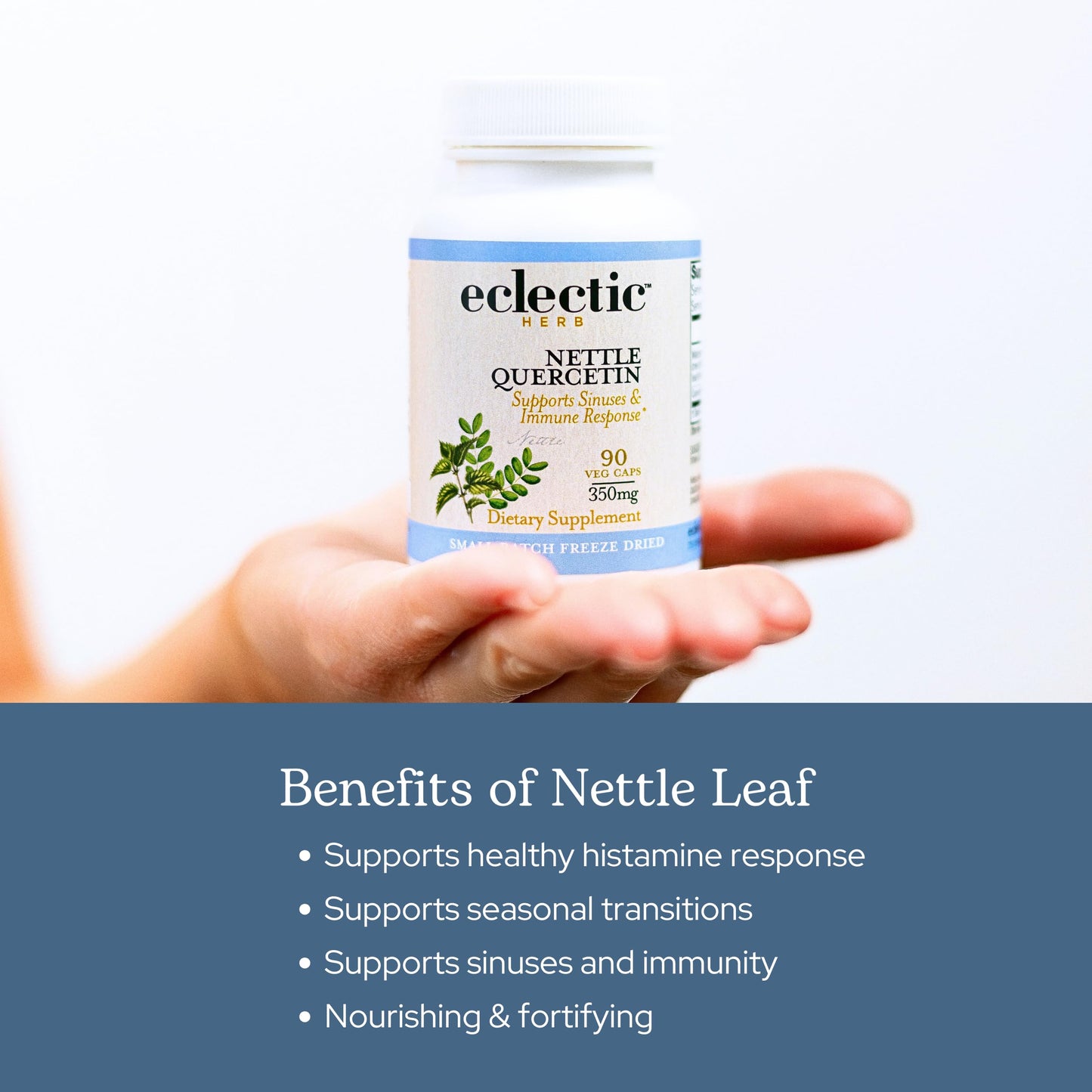 Eclectic Institute Nettle Leaf - Raw Freeze-Dried, Non-GMO, 90 CT