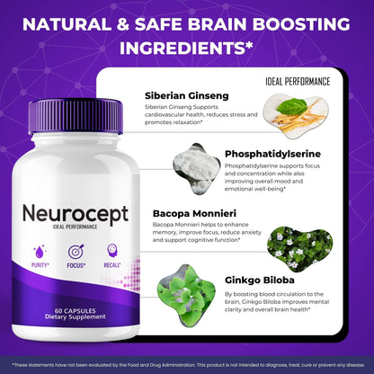 Neurocept Supplement – Brain Health Nootropics Pills (3 Pack)