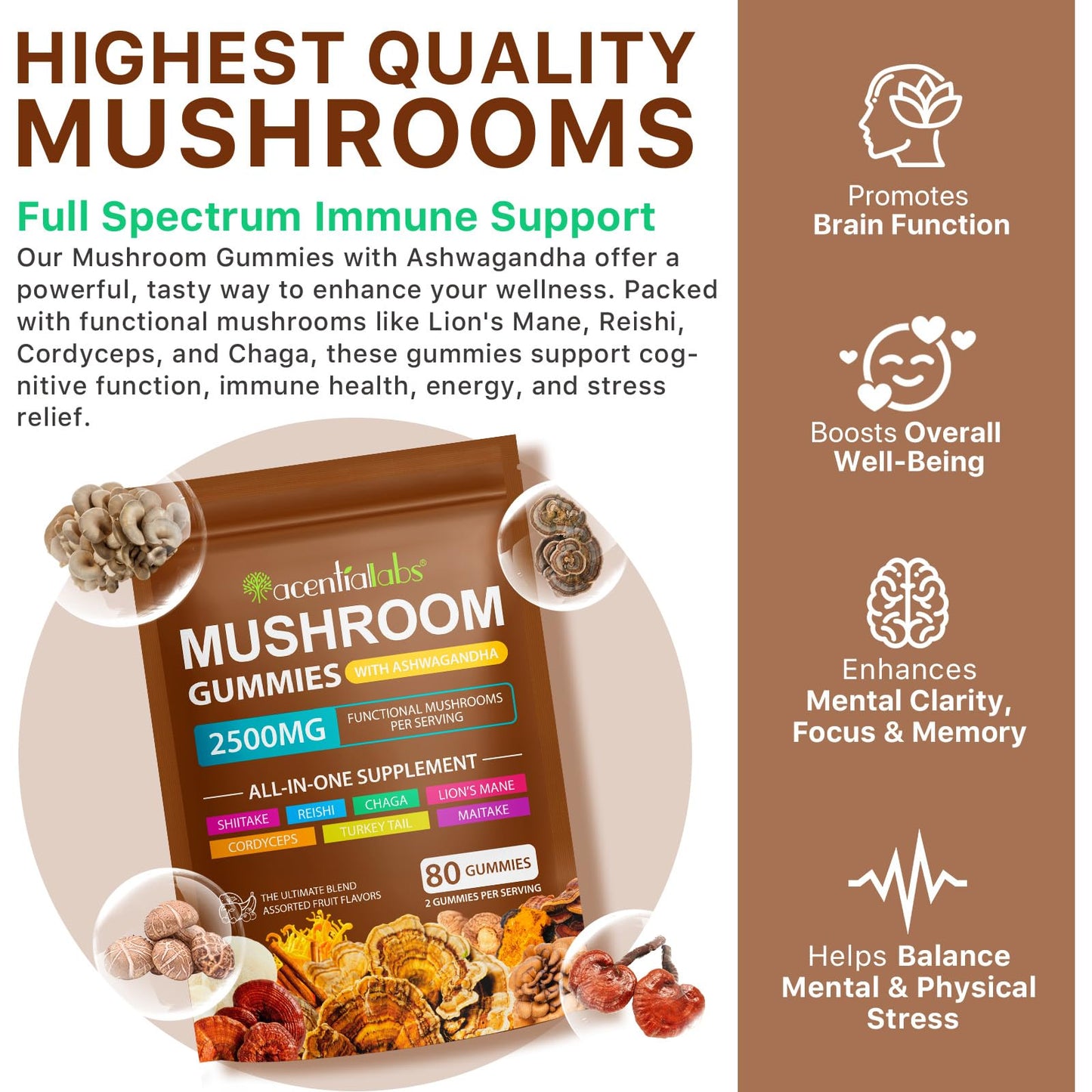 Newseel Lions Mane Mushroom Gummies – Reishi & Cordyceps, Energy & Immunity (80 Gummies)
