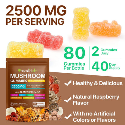 Newseel Lions Mane Mushroom Gummies – Reishi & Cordyceps, Energy & Immunity (80 Gummies)