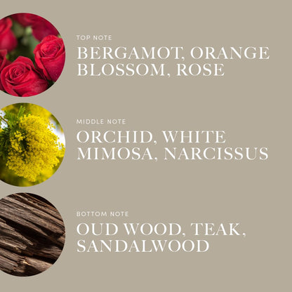 Aroma360 Disney: A Whole New World Fragrance Oil Blend | Jasmine | 500mL