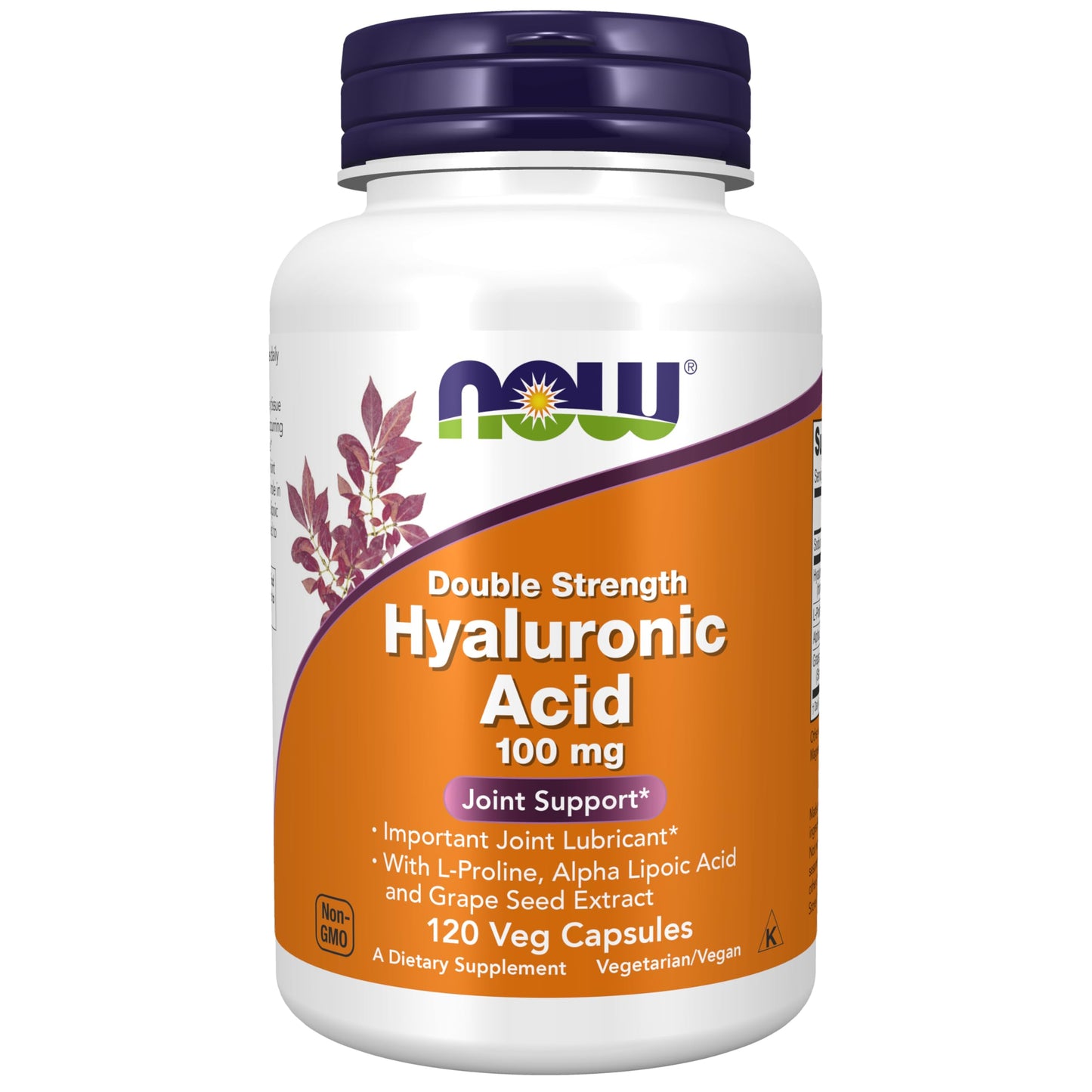 NOW Foods Hyaluronic Acid 100 mg Double Strength – 120 Veg Capsules