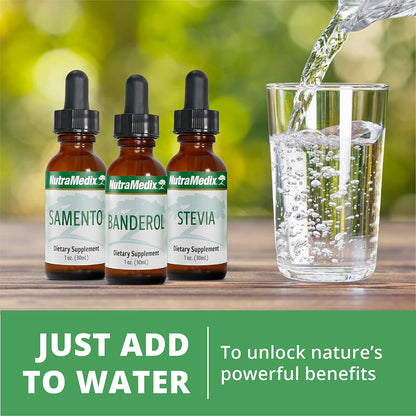 NutraMedix Chanca Piedra Stone Breaker Drops - Liquid Kidney & Liver Health Supplement (1oz / 30ml)