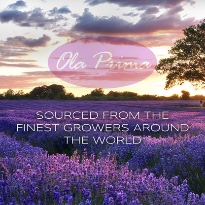 Ola Prima Rosemary Essential Oil – Pure 8 oz Rosemary Oil (Therapeutic Grade)