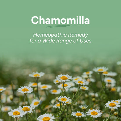 OLLOIS Chamomilla 200ck — Organic, Lactose-Free, Kosher Homeopathic Medicine — 80 Pellets Pack of 3