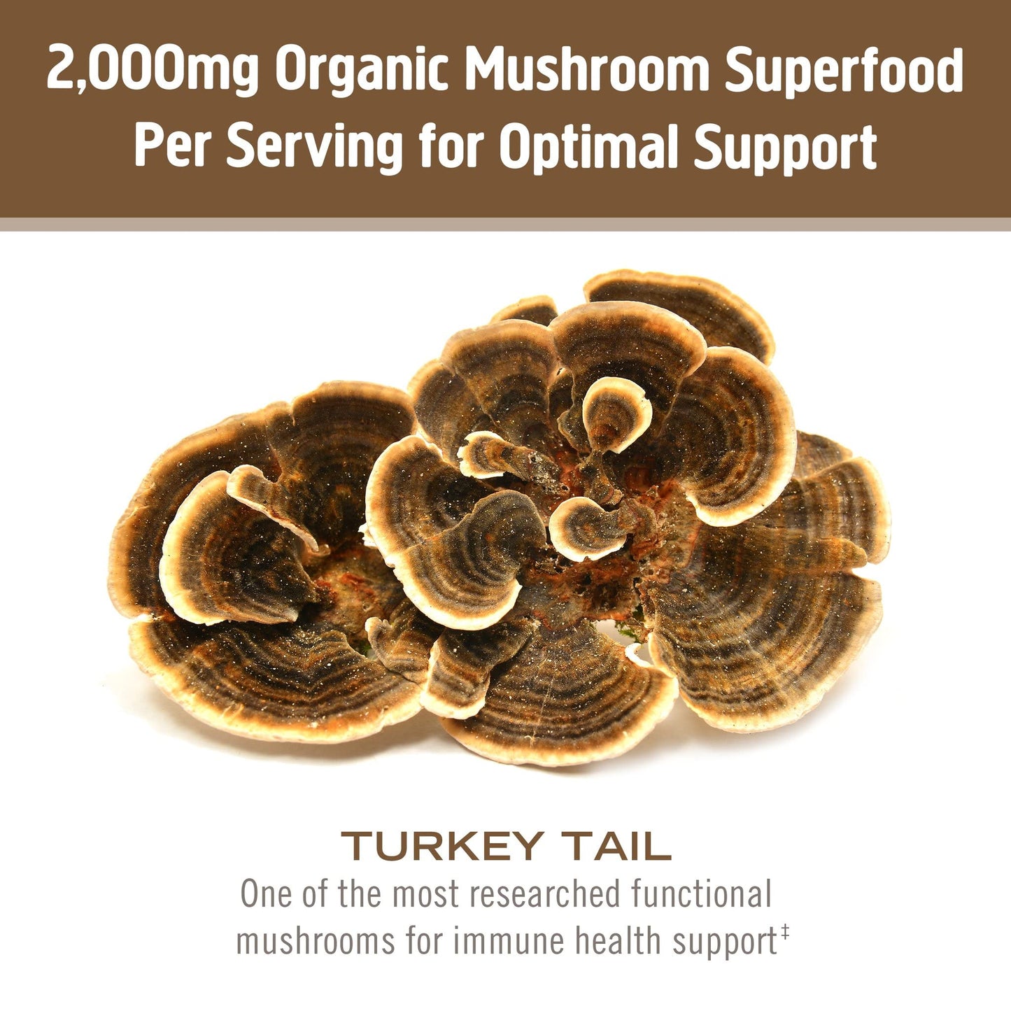 Om Mushroom Superfood Turkey Tail Organic Mushroom Powder – 7.05 oz, 100 Servings