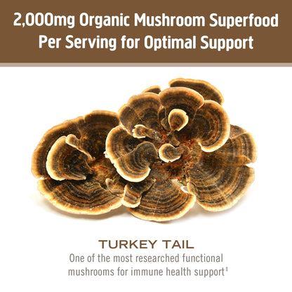 Om Mushroom Superfood Turkey Tail Organic Mushroom Powder – 7.05 oz, 100 Servings