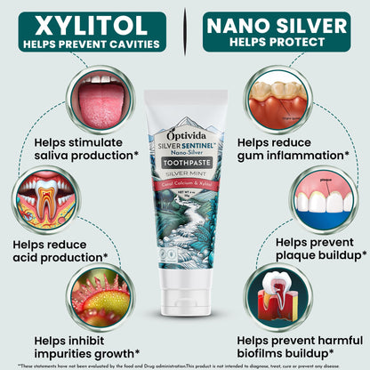 Optivida Fluoride-Free Colloidal Silver Xylitol Toothpaste (2 Pack) – Anti-Cavity, Gum Health, Spearmint, 4oz