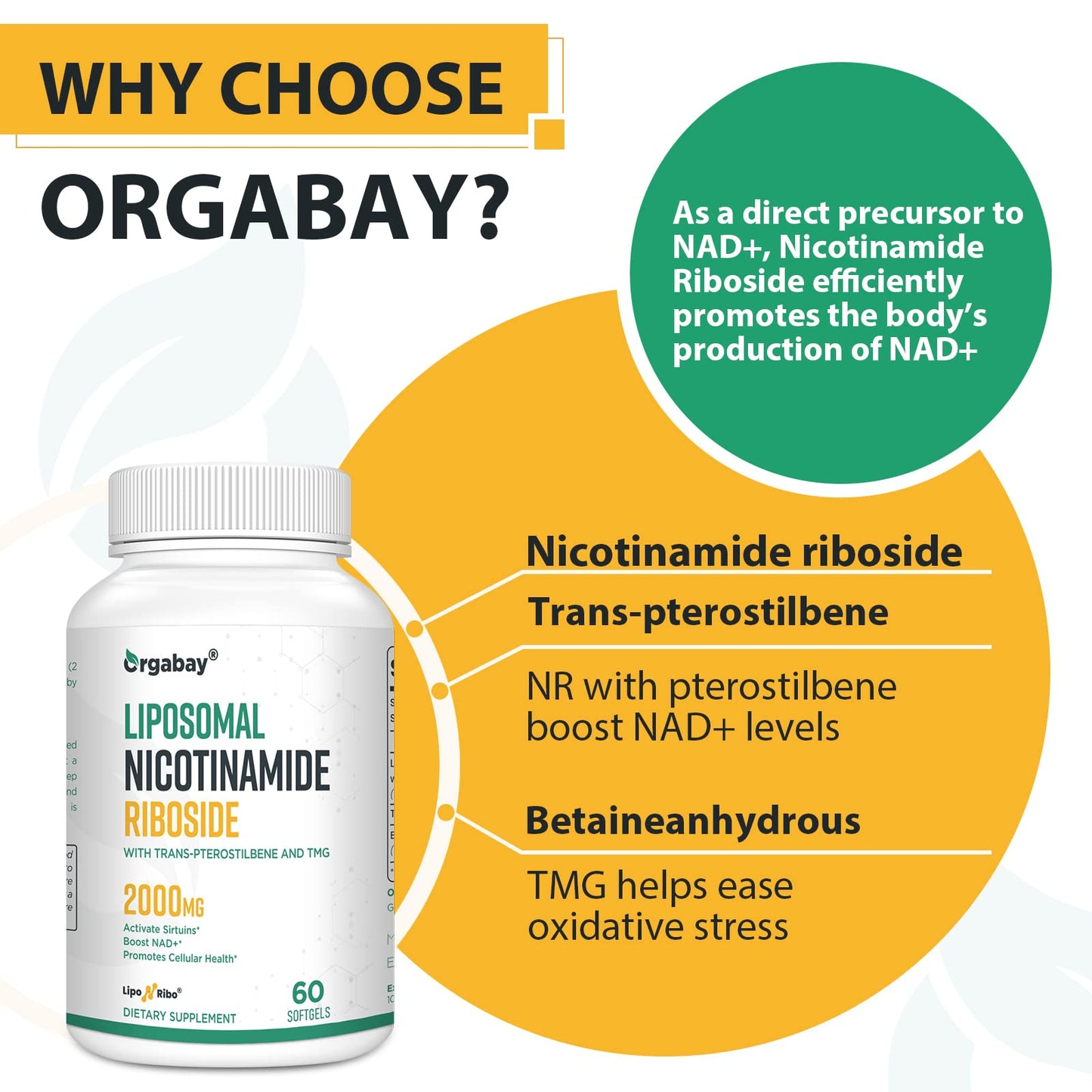 Orgabay Liposomal Nicotinamide Riboside 2000 MG with TMG and Pterostilbene – NAD+ Support for Healthy Aging (480 Softgels)