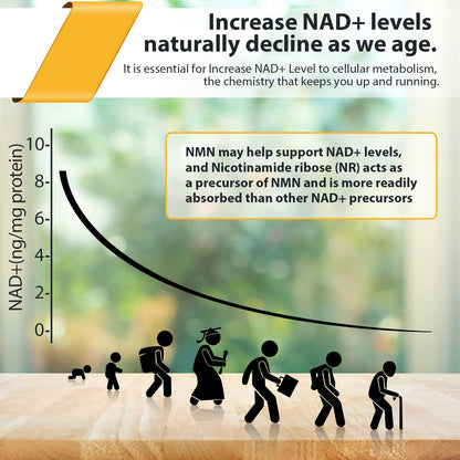 Orgabay Liposomal Nicotinamide Riboside 2000 MG with TMG and Pterostilbene – NAD+ Support for Healthy Aging (480 Softgels)