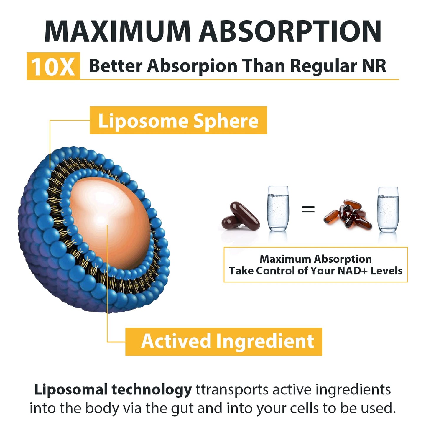 Orgabay Liposomal Nicotinamide Riboside 2000 MG with TMG and Pterostilbene – NAD+ Support for Healthy Aging (480 Softgels)