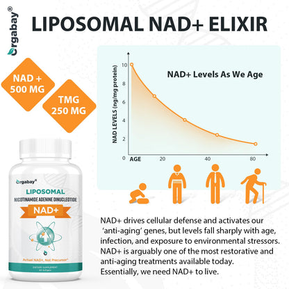 Orgabay Liposomal NAD+ Supplement 500 mg | High Absorption with 250 mg TMG per Softgel | 120 Softgels