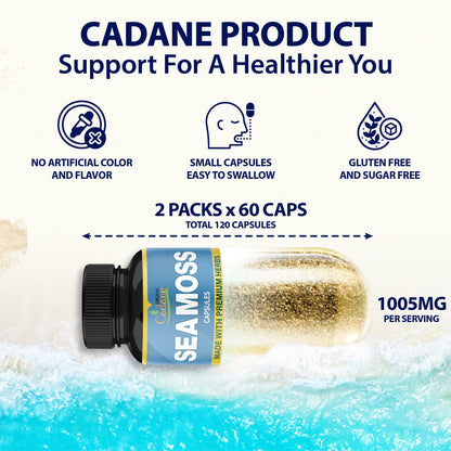 Organic Cadane 2 Packs Irish Sea Moss Powder Capsules & VitaminC, D3, Zin.C, Bladderwrack, Burdock Root, Apple Cider, Elderberry, Pepper - Supports Immune System & Overall Health