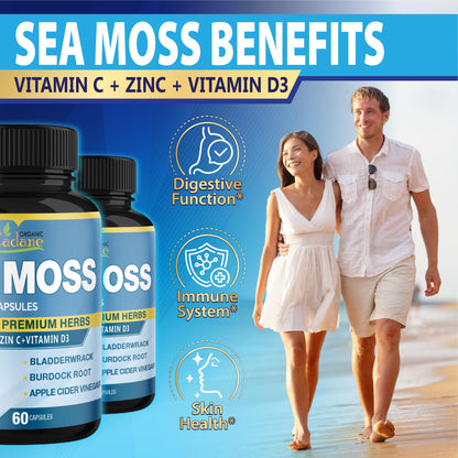 Organic Cadane 2 Packs Irish Sea Moss Powder Capsules & VitaminC, D3, Zin.C, Bladderwrack, Burdock Root, Apple Cider, Elderberry, Pepper - Supports Immune System & Overall Health