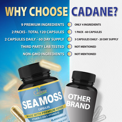 Organic Cadane 2 Packs Irish Sea Moss Powder Capsules & VitaminC, D3, Zin.C, Bladderwrack, Burdock Root, Apple Cider, Elderberry, Pepper - Supports Immune System & Overall Health
