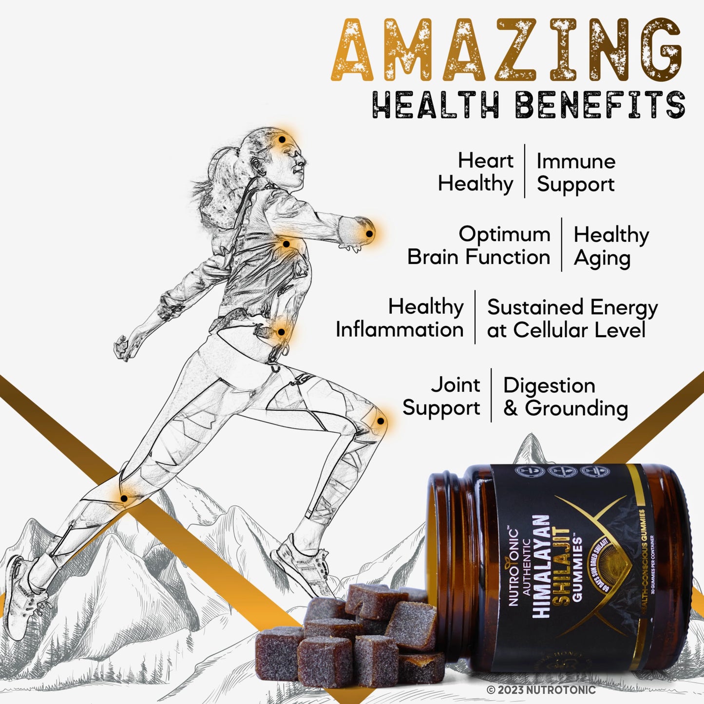 Organic SHILAJIT Gummies by NutroTonic | Cane Sugar Free, Organic Manuka Honey | 30 Gummies