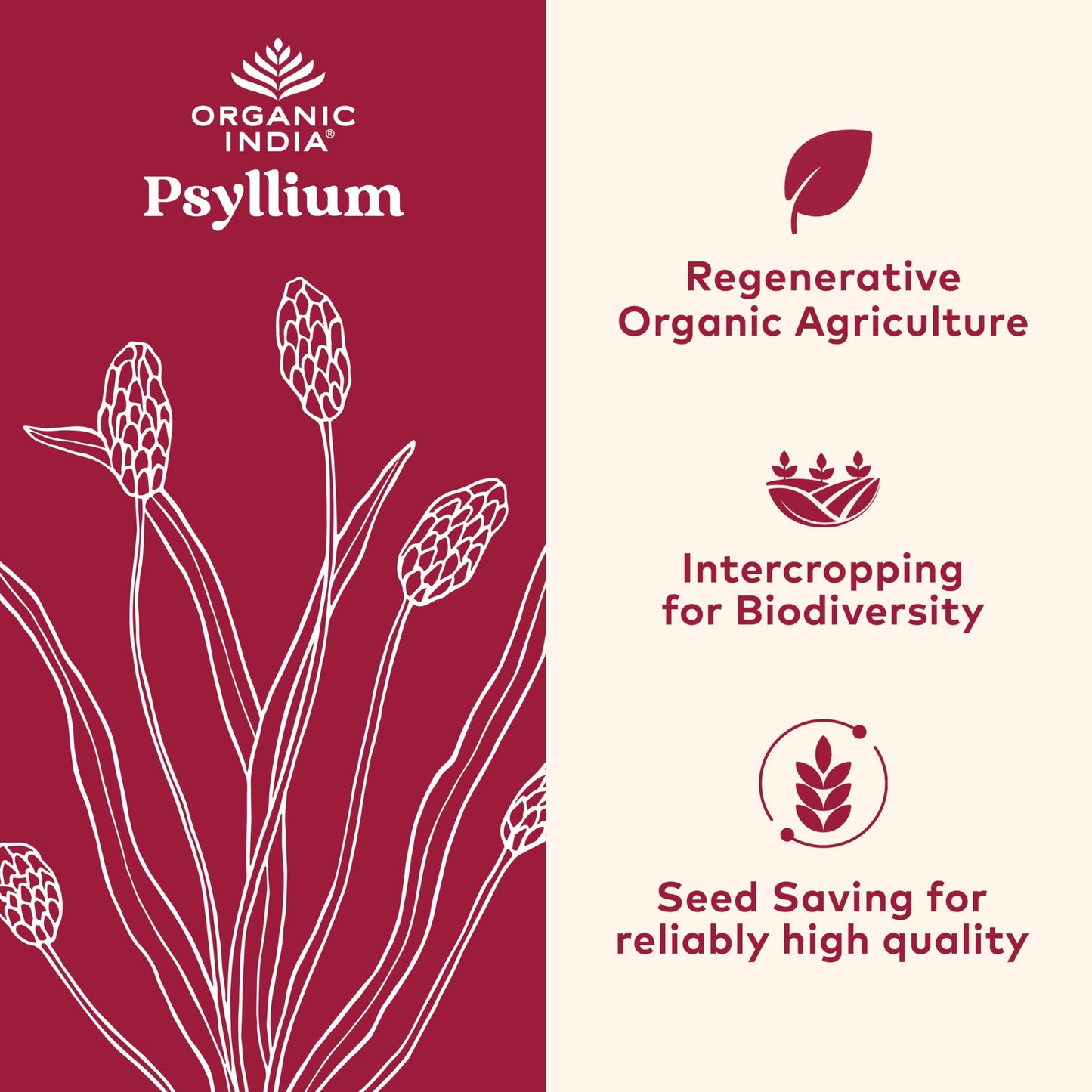 Organic India Psyllium Husk Powder - Fiber Supplement for Digestion (12 oz, Pack of 1)