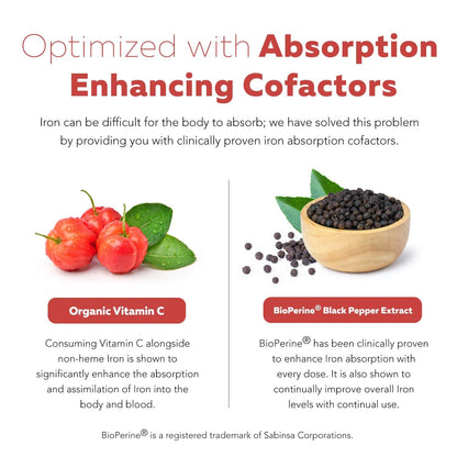 Organic Iron Supplement | Whole Food Mineral & Cofactors, 25 mg Elemental | Enhanced Absorption Plus Blood Health Vitamins – Gentle Form – Supports Healthy Levels & Blood Health – 90 Capsules