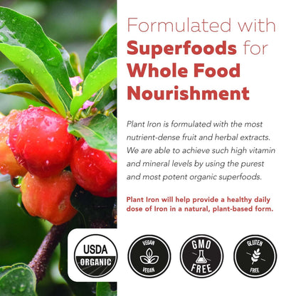 Organic Iron Supplement | Whole Food Mineral & Cofactors, 25 mg Elemental | Enhanced Absorption Plus Blood Health Vitamins – Gentle Form – Supports Healthy Levels & Blood Health – 90 Capsules