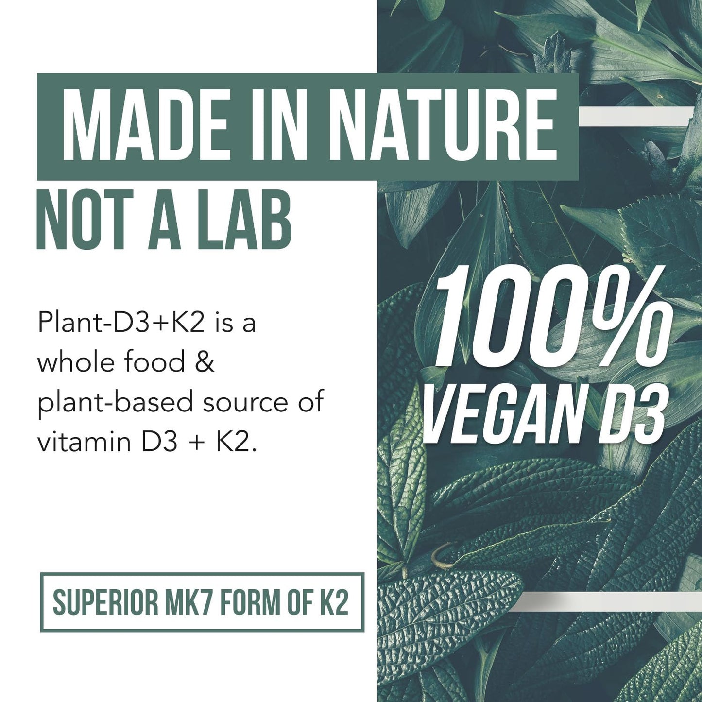 Organic Plant D3 + K2 MK7 - 5000 IU D3, 120 mcg K2 from MenaQ7® (All-Trans MK7) | Whole Food, Vegan | 60 Count