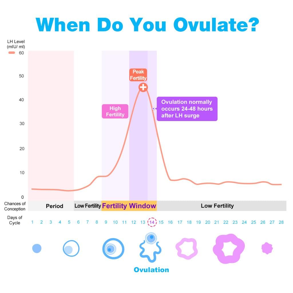 Easy@Home Ovulation Test Strips (100-pack) Value Pack – Reliable Ovulation Predictor Kit & Fertility Test (100 Tests)