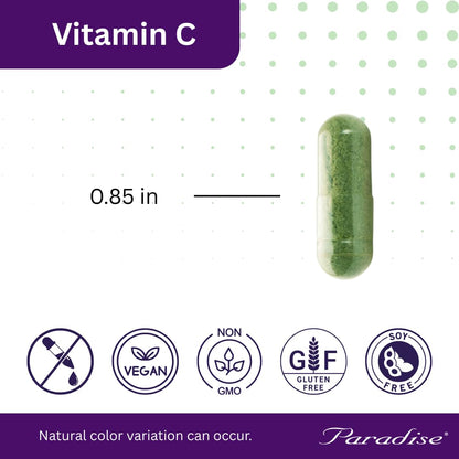 Paradise Herbs Earth's Blend Vitamin C with Nature's C, Adaptogens & Probiotics — ORAC Energy Greens Base, 90 Veg Capsules (Pack of 2)