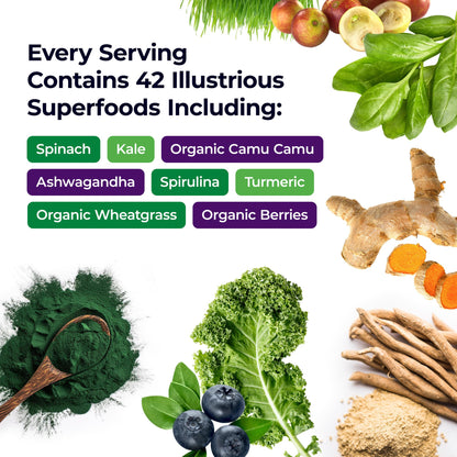 Paradise Herbs ORAC Energy Greens Powder — Antioxidant Power of 24 Fruits & Veggies in 1 Scoop | 120 Servings