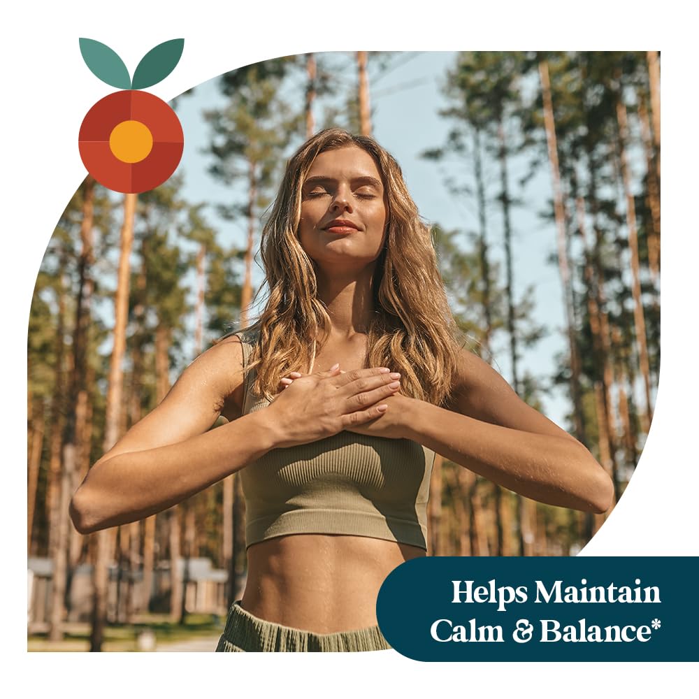 Pattern Wellness Ashwagandha Complex - Organic KSM-66 & Black Pepper - Stress Response & Energy Balance - 360 Vegan Capsules
