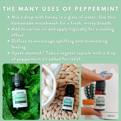 Peppermint Essential Oil 30mL by Revive Essential Oils - 100% Pure Therapeutic Grade
