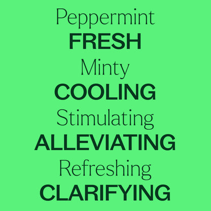 Plant Therapy Peppermint Essential Oil 100 mL – 100% Pure, Undiluted