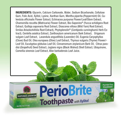 Nature's Answer PerioBrite Toothpaste Cool Mint Pack of 6 – For Sensitive Teeth | Whitens Teeth & Freshens Breath