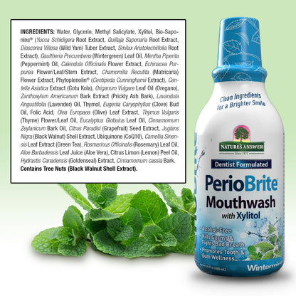 Nature's Answer PerioBrite Winter Mint Mouthwash – Fluoride-Free, Alcohol-Free & Vegan (16oz)