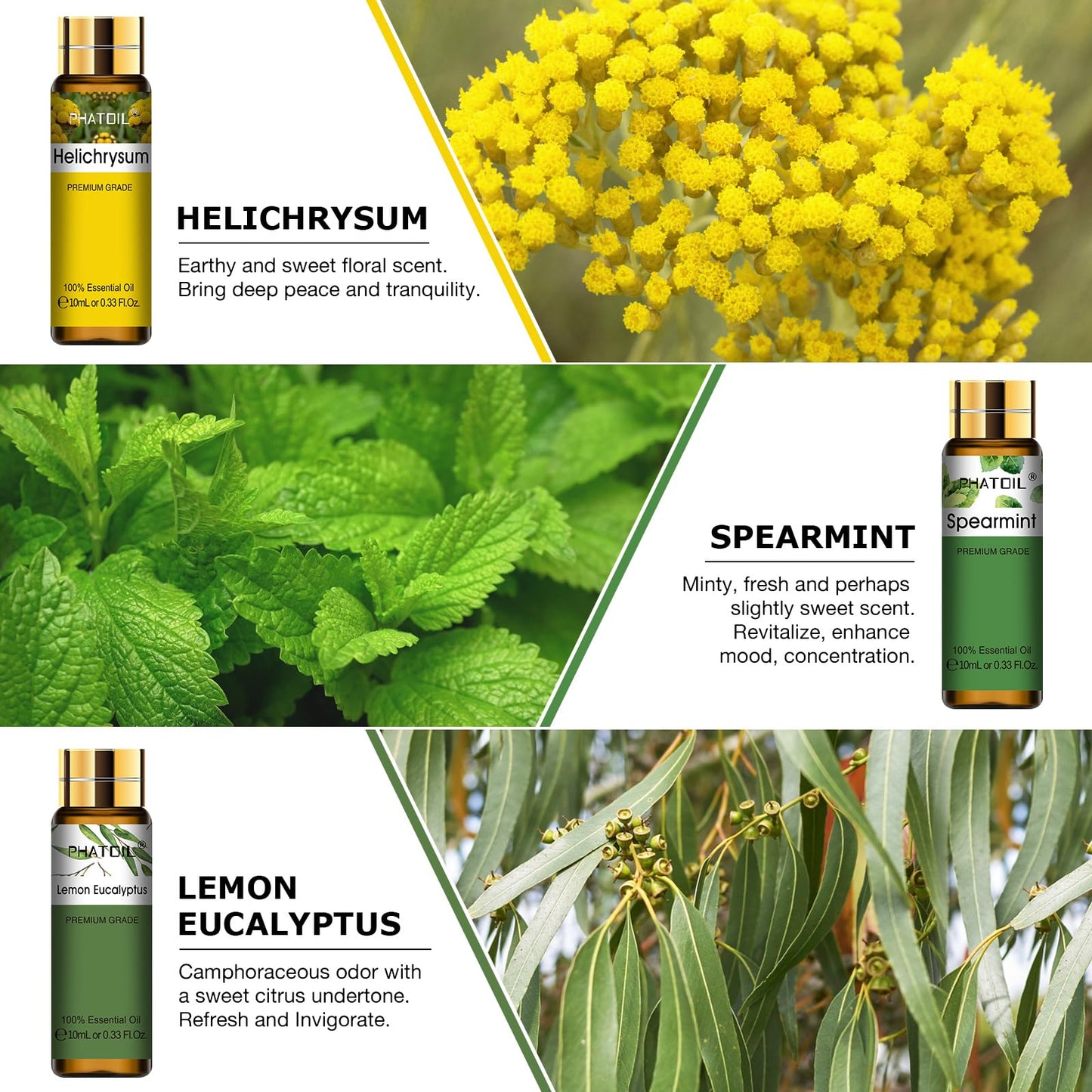 PHATOIL 9PCS Premium Essential Oil Set – 10ml Diffuser & DIY Gift