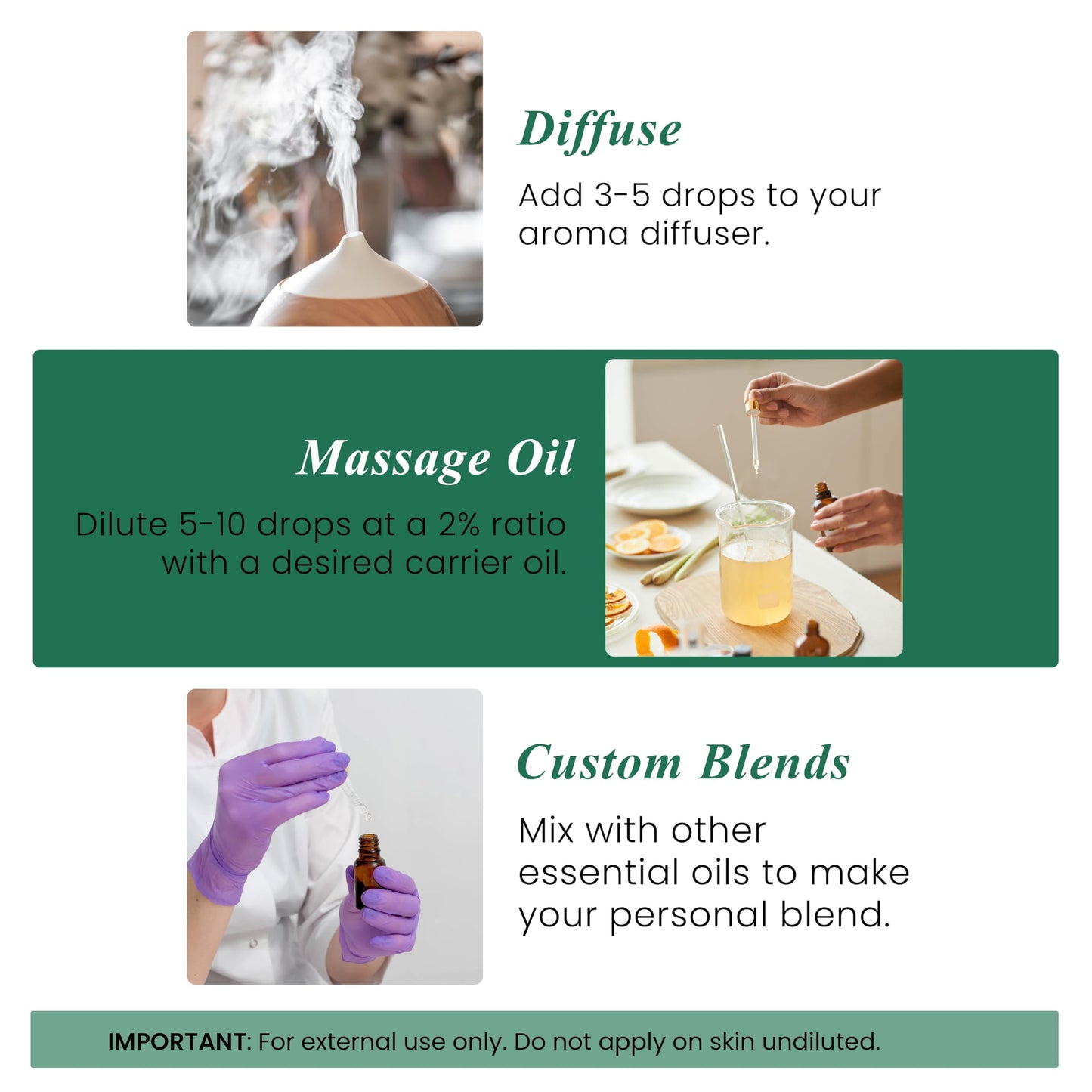 Handcraft Blends Pine Essential Oil – 1 Fl Oz | 100% Pure & Natural