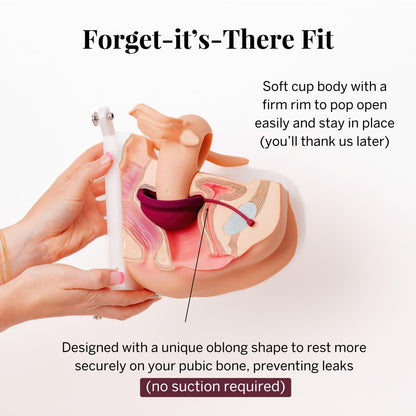 Pixie Cup Menstrual Disc - 100% Medical-Grade Silicone | 12-Hour Wear, 7-Tampon Capacity (Large)
