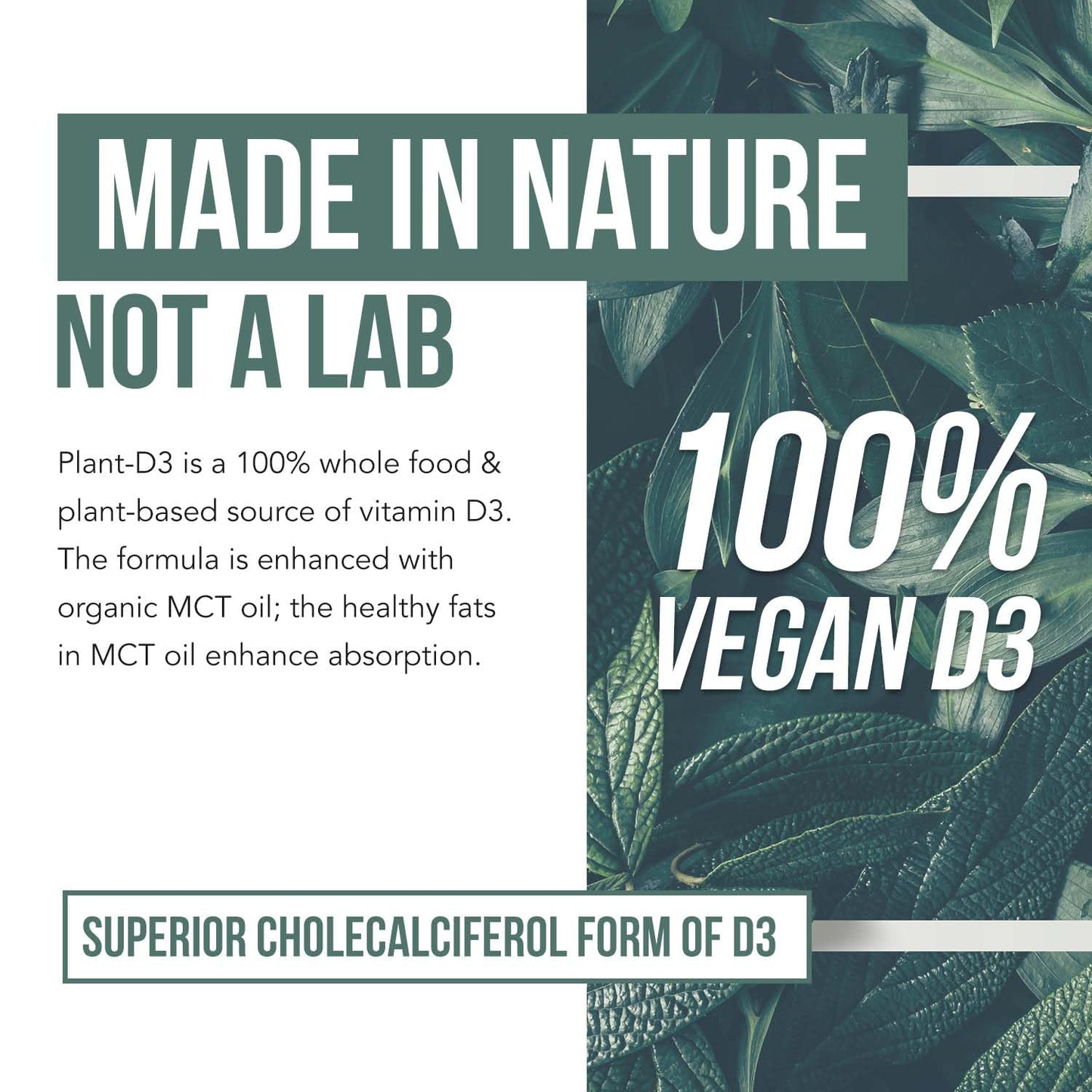 Organic Vitamin D3 10,000 IU – Plant-Based Vegan Sublingual Drops (30 Servings)