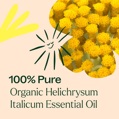Plant Therapy Organic Helichrysum Italicum Essential Oil – 100% Pure, USDA Organic, 5 mL