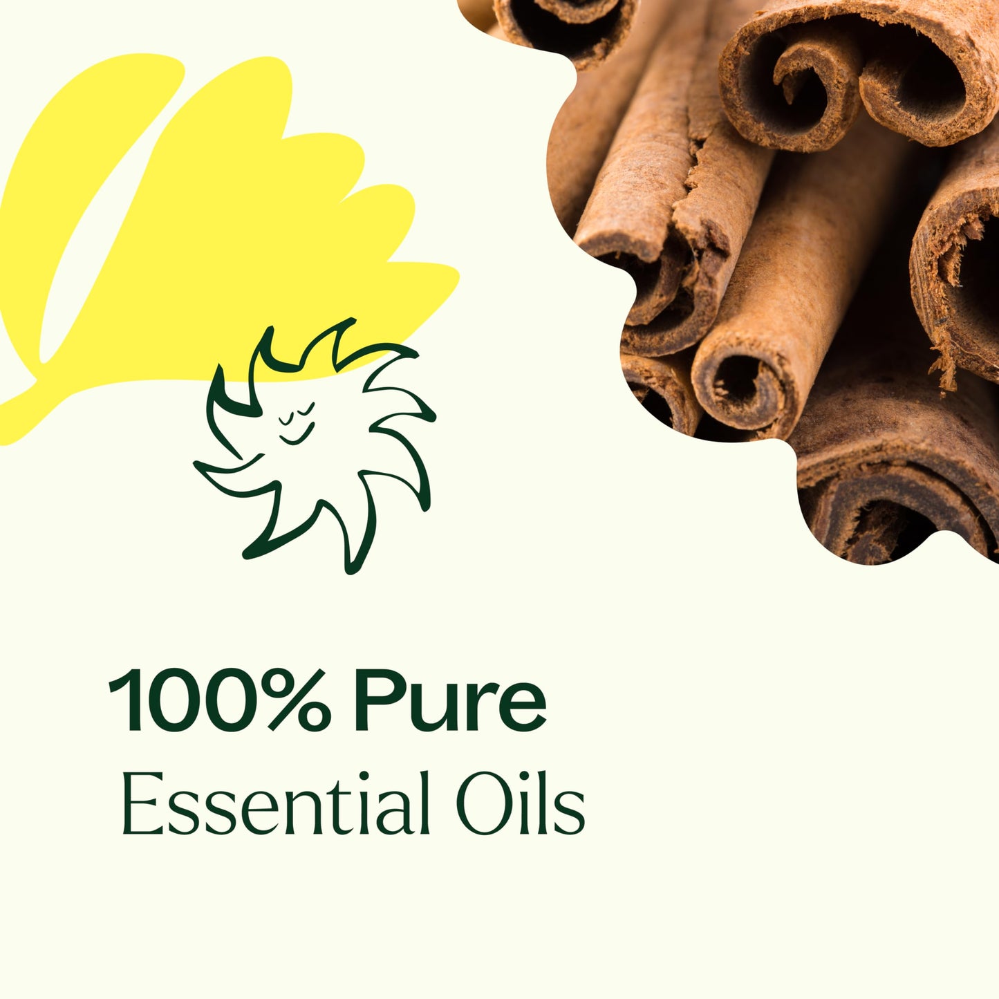 Plant Therapy Germ Fighter Essential Oil Blend – 100 mL (3.3 oz) | 100% Pure, Therapeutic Grade