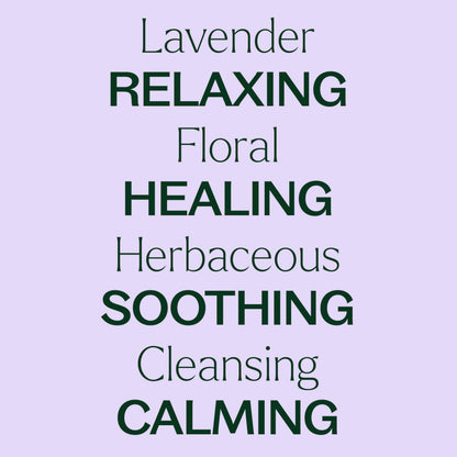 Plant Therapy Lavender Essential Oil – 100 mL (Undiluted), 100% Pure & USDA Organic