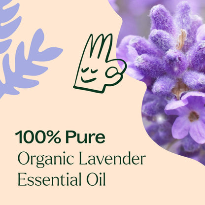 Plant Therapy Lavender Essential Oil – 100 mL (Undiluted), 100% Pure & USDA Organic