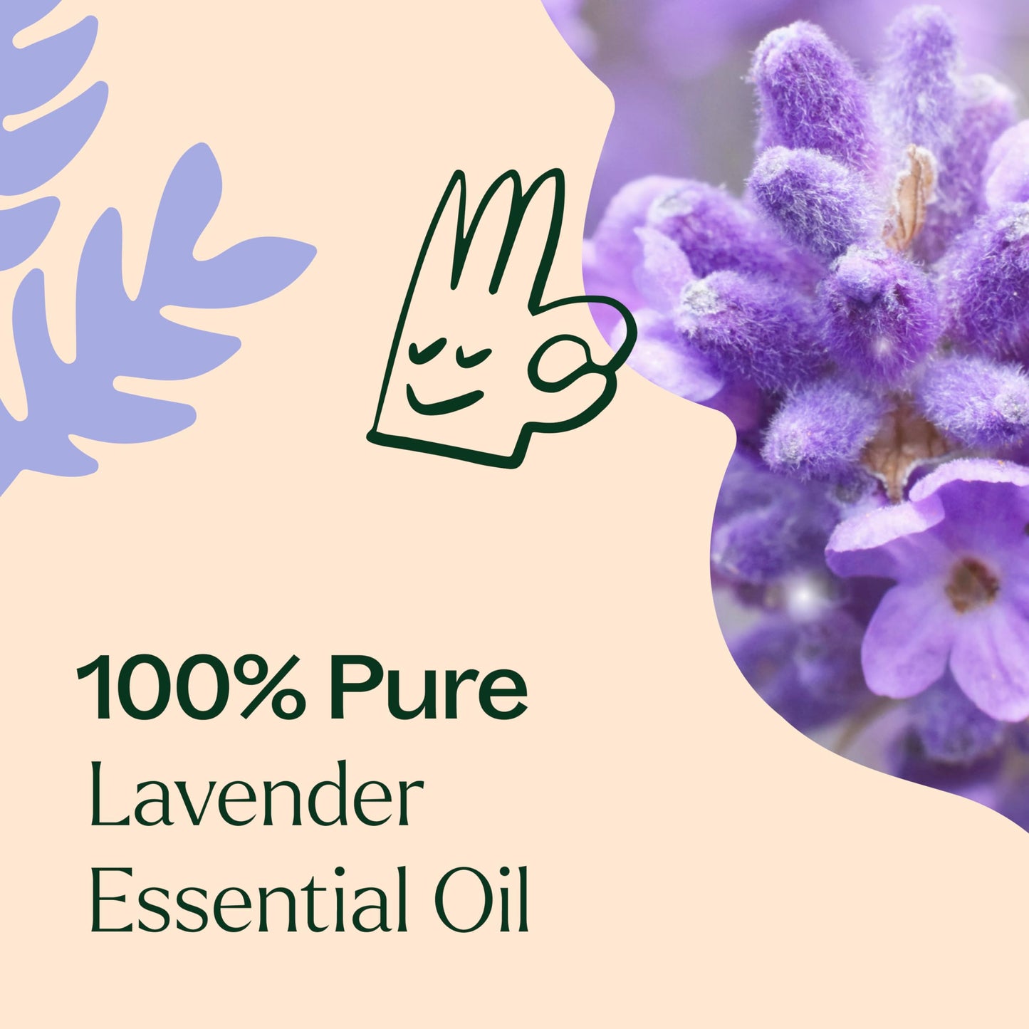 Plant Therapy Lavender Essential Oil 30 mL (1 oz) – 100% Pure & Therapeutic Grade