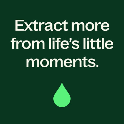Plant Therapy Lime Steam Distilled Essential Oil 10 mL – 100% Pure, Therapeutic Grade