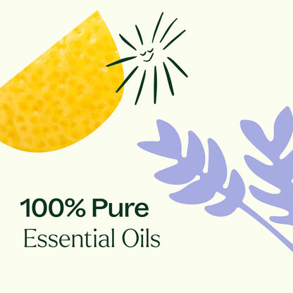Plant Therapy Top 6 USDA Organic Essential Oil Set – Lavender, Peppermint, Eucalyptus, Lemon, Sweet Orange, Tea Tree (10 mL)
