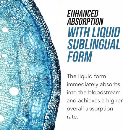 Organic Methyl Folate 1000 mcg + Methyl B12 Cofactor | Sublingual Berry Liquid (1oz) | 300 Servings | 5-MTHF