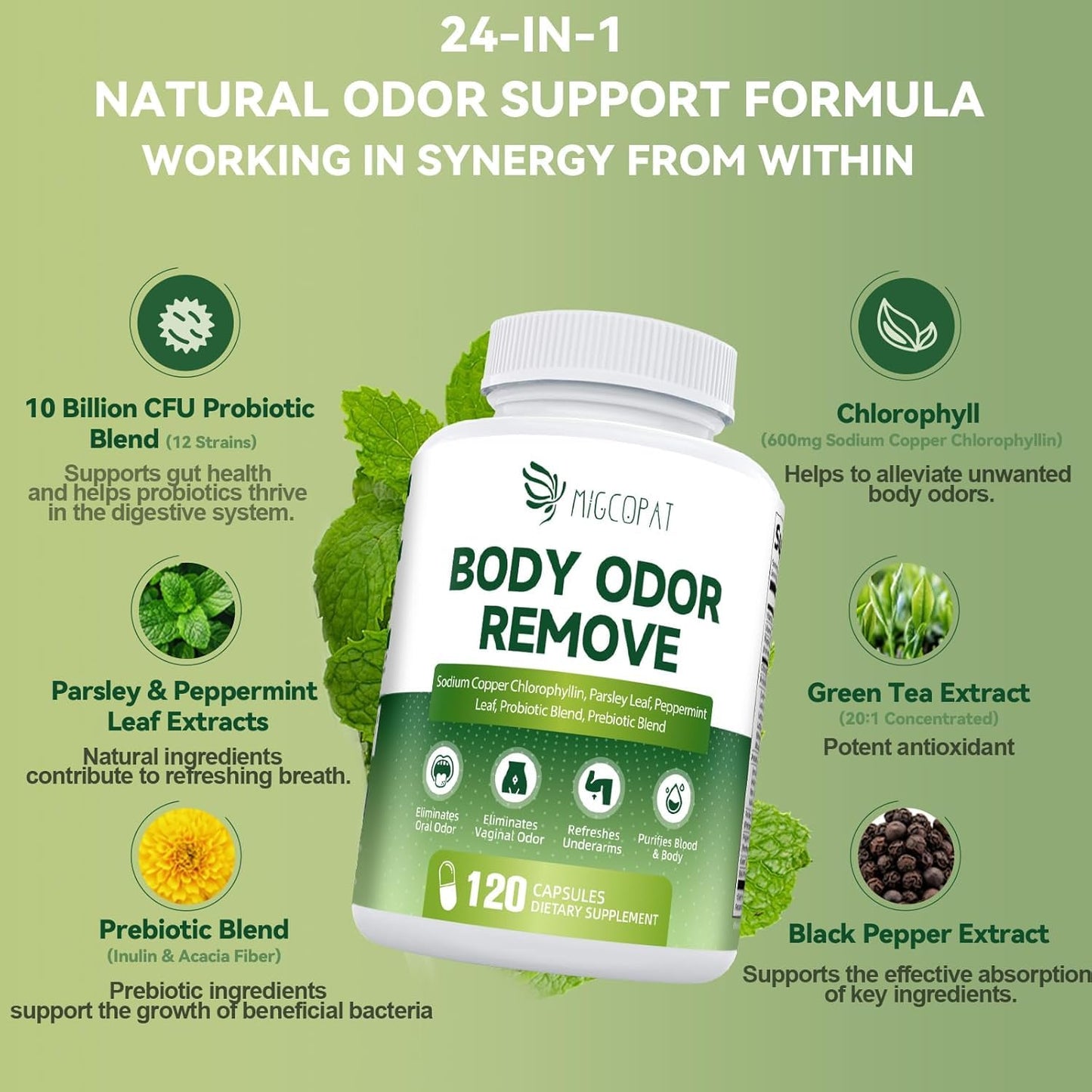 Chlorophyll Body Deodorizing Supplement – 120 Caps, Parsley & Peppermint