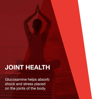 Protocol Glucosamine & Chondroitin with MSM - Joint Support* - 90 Veg Caps - Non-GMO & Dairy Free