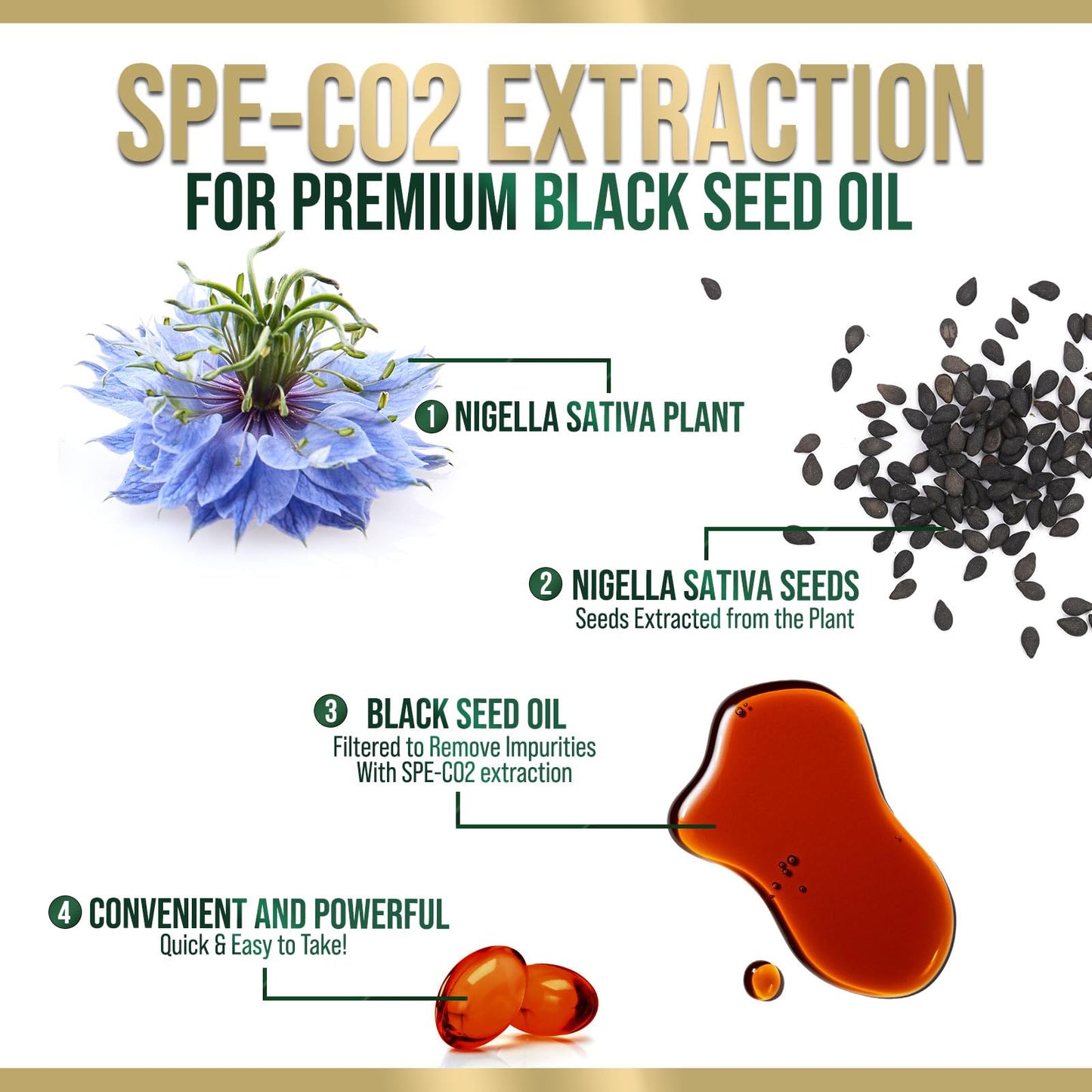 Black Seed Oil Softgels 1000mg – Nigella Sativa, Pure Black Cumin Oil, 60 Softgels | Non-GMO, USA Bottled